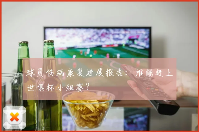 球员伤病康复进展报告：谁能赶上世俱杯小组赛？